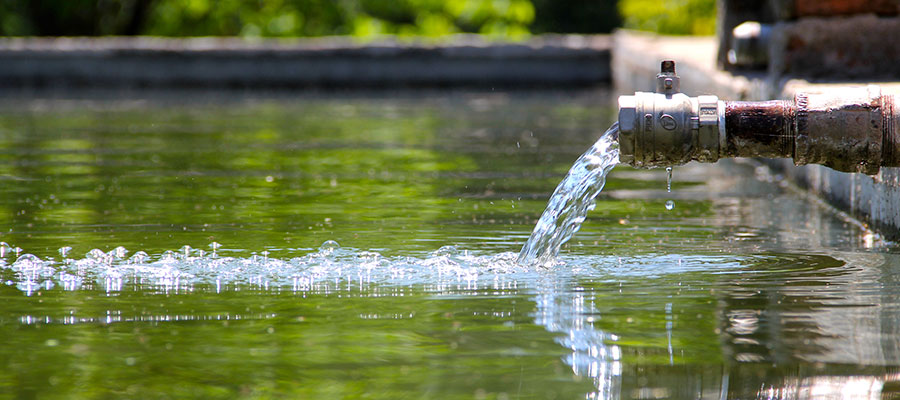 Healthy Water from well changes the composition of the gut microbiome